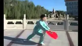 Taiji - Chen Style Fan (48 form)