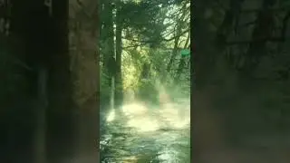 water stream sounds#shortsvideo #waterstreamsounds #waterstream #watersounds