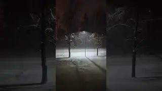 #snowyevenings #mood #winter #snowfall