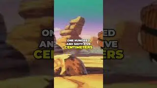 1000 Confirmed Facts About Dragon Ball! Facts You Didn't Know! #shorts