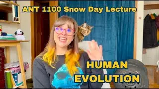 ANT 1100 Human Evolution Lecture