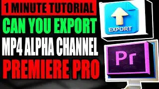 Can You Export MP4 Alpha Channel In Premiere Pro (Step By Step - Full Tutorial)