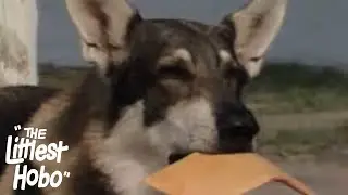 Double Vision | The Littlest Hobo | Season 4 | Episode 14