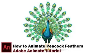 Peacock Feathers Opening Animation | Adobe Animate Tutorial | 2D Animation Software Lesson