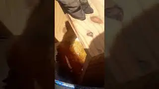 Cozinhando com olho e parafina essa nunca estraga!#shorts