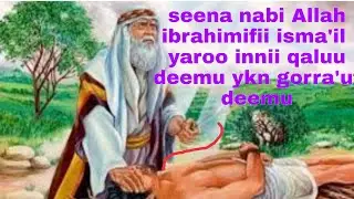 Maliif nabi ibrahim ilma isaa nabii isma'il qaluu ykn gorra'utii ajajamee