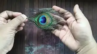 🌸 முல்லை பூ Buds & Peacock Feather Hair Accessories DIY | 2 Handmade Hair Clips  