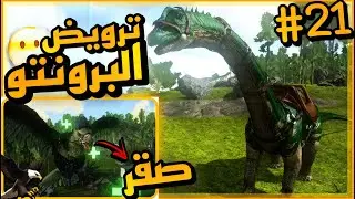 ارك سرفايفل موبايل/ترويض البرونتو😶‍🌫️+ترويض الصقر🔥#21