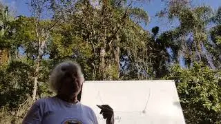 Ev.- Ponto de Decis&atilde;o e Confronto