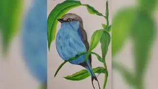 How to fill colour in leaves and bird