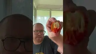 7 Pot Brain Strain Pod Review