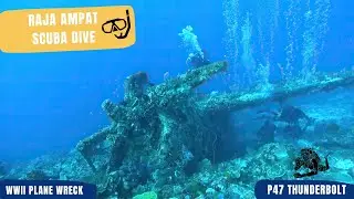 Scubadiving Plane Wreck | World War II | P-47 Thunderbolt | Raja Ampat Indonesia  🇮🇩