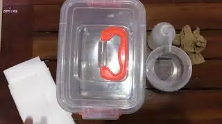 Tarantula Eggs Incubator | Simple DIY Incubator