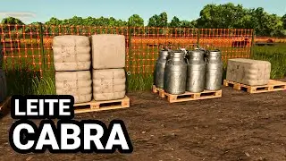 FS25 COMO VENDER O LEITE DAS CABRAS