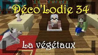 Emission MINECRAFT - DECO'Lodie 34 : Les v&eacute;g&eacute;taux !