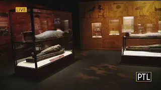 New Mummy Exhibition At The Carnegie Science Center