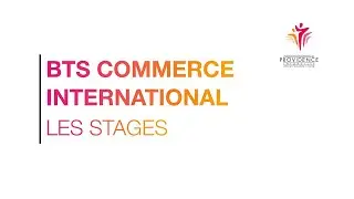 Les stages en BTS commerce international