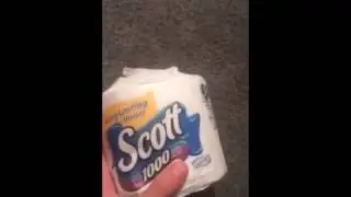 Scott 1000 sheets per roll