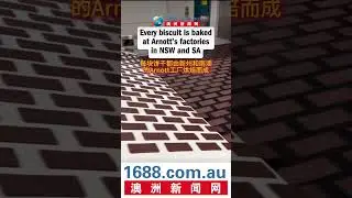 🍫震！惊！你吃的Tim Tam不是巧克力&mdash;&mdash;是澳洲人的&ldquo;信仰&rdquo;！