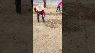 Agricultural Land Preparation Process - Tools