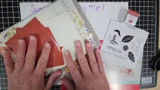 Sweet T's Tuesday Tip!  Paper Pumpkin Ink & Stamp Set Storage
