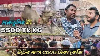 ৫৫০০ টাকায় উটের মাংস | উৎসুক জনতার ভিড় camel 🐫 price Bangladesh