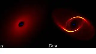 An inclined circum-binary disc of gas and weakly coupled dust