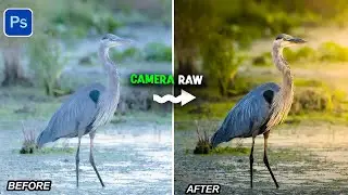 The Ultimate Masking Trick to Recreate Lighting Realistically in Camera Raw