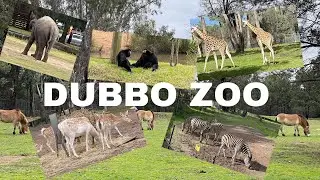 WALKING AROUND DUBBO TARONGA ZOO|| DUBBO NSW AUSTRALIA