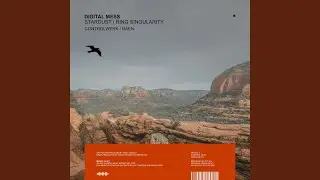 Ring Singularity