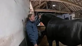 Live physio session with Iceman 🧊 & Jenny Parker physiotherapist