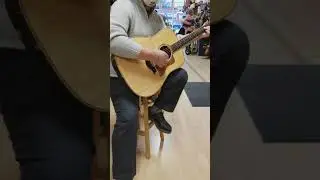 Taylor 810E at Gelb Music