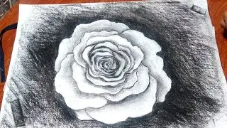 Easy Rose Sketch Technique | Easy Rose Drawing Tutorial #rosesketch #rosedrawing #sketch