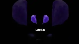 What 