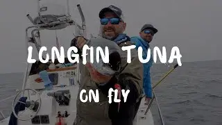 Longfin Tuna on Fly - 25 October 2018