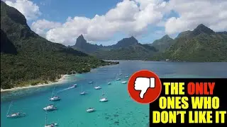 340: Why This Popular Anchorage Left Us Disappointed; Oponohu Bay, Mo'orea
