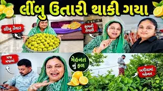 || લીંબુ ઉતારી ને થાકી ગયા || Limbu Utari ne Thaki Gaya || Zulekha Family vlogs Azvlogz0277