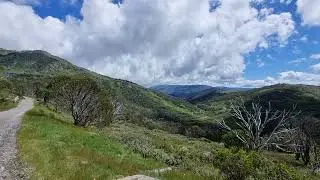 Mt Blue Cow Summer bike/hike - Road from North Perisher near roller coaster. Jan 2024