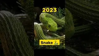 2023 Snake And 5,000 Future Snake 🐍 #shorts