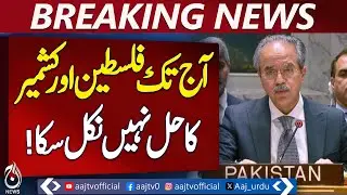 Pakistan UN Speech | Palestine Kashmir Peace | Diplomatic Resolution Urged