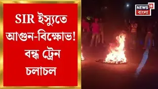 Haroa News | SIR-এর নামে হয়রানির অভিযোগে বিক্ষোভ, Hasnabad-Sealdah শাখায় অবরোধ | Bangla News