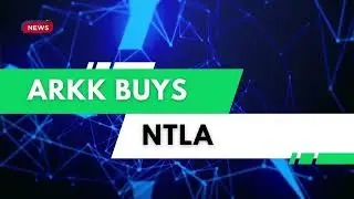 Cathie Woods ARK Invest trades today September 04 2025
