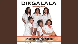 Basadi