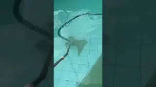 Vacuuming dust from the bottom of the pool #shorts #short