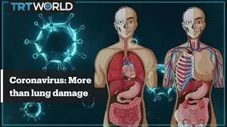 The coronavirus does not only attack the lungs