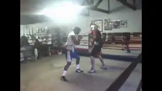 phoenix boys center boxing 8 28 1