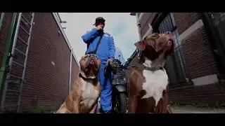 Dani Apeldoorn - Peter R. de Vries (Prod. by Saevo beats & Fiya)
