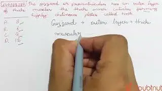 The gizzard or proventriculus has an outer layer of thick muscles the thick inner cuticle formin...