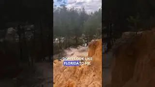Florida&rsquo;s Grand Canyon! #nature #florida #cliffs #river #wilderness #adventure #hiking #forest #hike