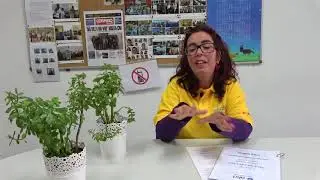 Testemunho - Paula Lança